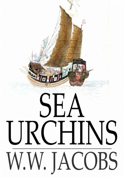 Sea Urchins (eBook, ePUB)