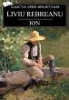 Ion (eBook, ePUB) - Bild 1