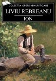 Ion (eBook, ePUB)