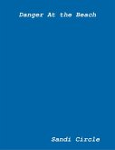 Danger At the Beach (eBook, ePUB)