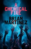 A Chemical Fire (eBook, ePUB)