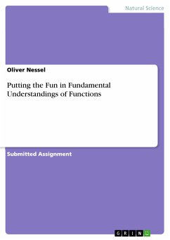 Putting the Fun in Fundamental Understandings of Functions (eBook, PDF) - Nessel, Oliver