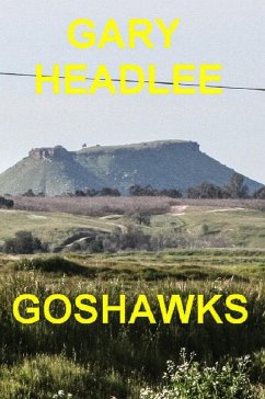 Cover Goshawks (eBook, ePUB)