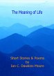 The Meaning of Life (eBook, ePUB) - Bild 1