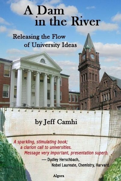 Dam in the River (eBook, ePUB)