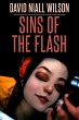 Sins of the Flash (eBook, ePUB) - Bild 1
