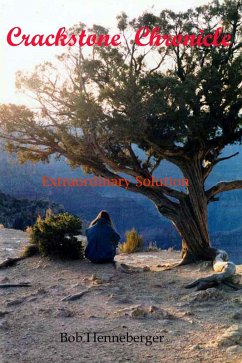 Cover Crackstone Chronicles - Extraordinary Solution (eBook, ePUB)