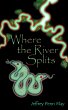 Where the River Splits (eBook, ePUB) - Bild 1