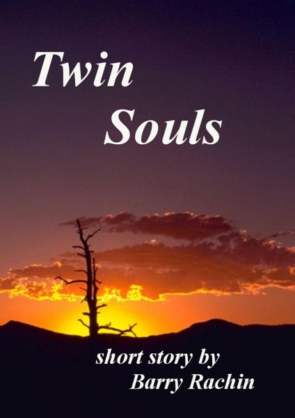 Twin Souls (eBook, ePUB)