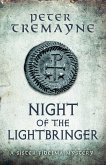 Night of the Lightbringer (Sister Fidelma Mysteries Book 28) (eBook, ePUB)