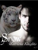 Snow (eBook, ePUB)