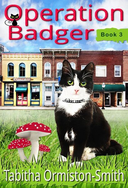 Operation Badger (Operation Tomcat, #3) (eBook, ePUB) Operation Badger (Operation Tomcat, #3) (eBook, ePUB)