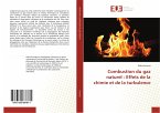 Combustion du gaz naturel : Effets de la chimie et de la turbulence