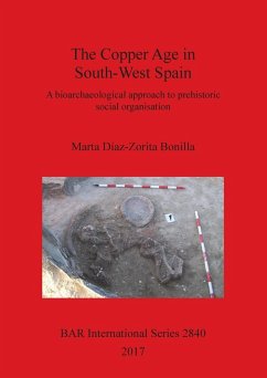 The Copper Age in South-West Spain - Díaz-Zorita Bonilla, Marta