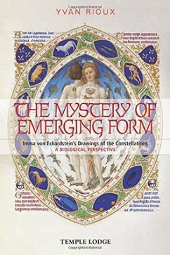 The Mystery of Emerging Form - Rioux, Yvan