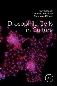 Drosophila Cells in Culture - Echalier, Guy;Perrimon, Norbert;Mohr, Stephanie E