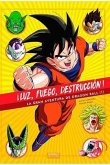 ¡LUZ, FUEGO, DESTRUCCION! LA GRAN AVENTURA DE DRAGON BALL (I)