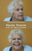 Bipolar Express (eBook, ePUB)
