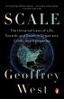 Scale (eBook, ePUB) - Bild 1