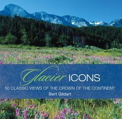 Cover Glacier Icons (eBook, ePUB)