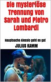 Die mysteriöse Trennung von Sarah und Pietro Lombardi (eBook, ePUB)