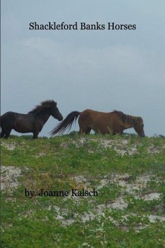 Shackleford Banks Horses - Kalsch, Joanne