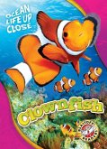 Clownfish