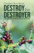 Destroy the Destroyer - Bild 1