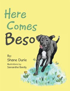 Here Comes Beso - Durie, Shane