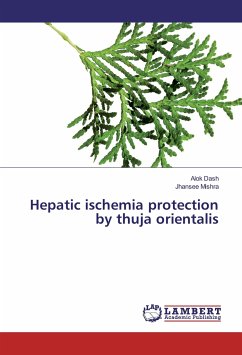 Hepatic ischemia protection by thuja orientalis