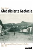 Globalisierte Geologie (eBook, PDF)