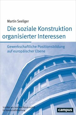 Die soziale Konstruktion organisierter Interessen (eBook, PDF) - Seeliger, Martin