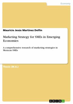 Marketing Strategy for SMEs in Emerging Economies (eBook, PDF) - Martínez Delfín, Mauricio Jesús