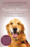 Tuesday's Promise (eBook, ePUB)