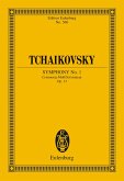 Symphony No. 1 G minor (eBook, PDF)