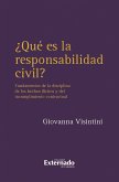 ¿Qué es la responsabilidad civil? (eBook, ePUB)