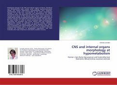 CNS and internal organs morphology at hypometabolism