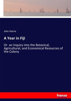 A Year in Fiji - Horne, John