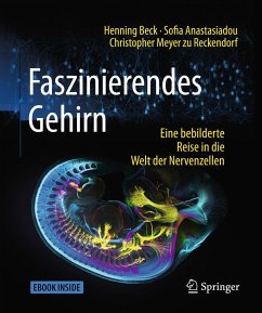 Faszinierendes Gehirn - Beck, Henning;Anastasiadou, Sofia;Meyer zu Reckendorf, Christopher