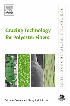 Cover Crazing Technology for Polyester Fibers (eBook, ePUB)