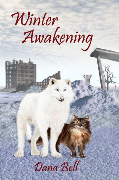 Winter Awakening (eBook, ePUB)