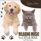 Relaxing Music For Cats & Dogs