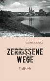 Zerrissene Wege (eBook, ePUB)