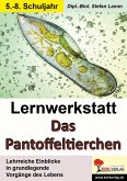Lernwerkstatt Das Pantoffeltierchen (eBook, PDF)