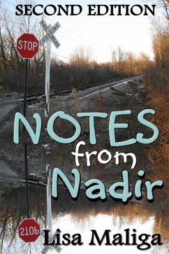 Cover Notes from Nadir (eBook, ePUB)