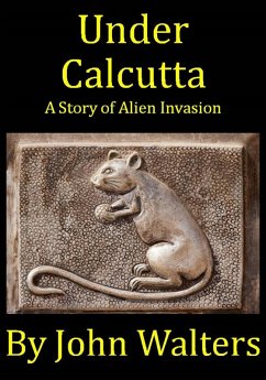 Under Calcutta (eBook, ePUB) - Walters, John