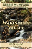 Wakinyan's Valley (eBook, ePUB)