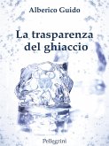 La trasperenza del ghiaccio (eBook, ePUB)