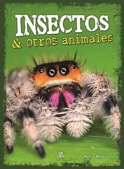 Insectos y otros animales - Mañeru Cámara, María; Editorial, Equipo