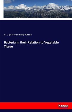 Bacteria in their Relation to Vegetable Tissue